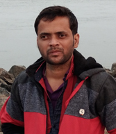 Never Married Hindu Groom in Alipur